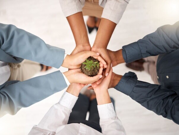 Software Developer (m/f/d), 2. image